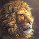 Simple modern Hand painted oil painting on canvas"lion"80x80CM(33"x33")Unframed-04