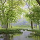 American style Hand painted oil painting on canvas"Creek"70x180CM(27.6"x70.9")Unframed-585