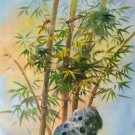 Hand painted oil painting on canvas"Bamboo"50x60CM(19.7"x23.6")Unframed-107 Hand painted oil painting on canvas"Bamboo"50x60CM(19.7"x23.6")Unframed-107