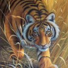 Simple modern Hand painted oil painting on canvas"tiger"60x90CM(23.6"x35.4")Unframed-26