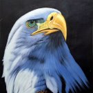 Hand painted oil painting on canvas"Eagle"60x90CM(23.6"x35.4")Unframed-04