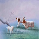 Simple modern Hand painted oil painting on canvas"Sheep"70x100CM(30"x40")Unframed-26