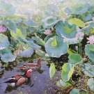 Hand painted oil painting on canvas"lotus"116x67CM(47"x26")Unframed-92