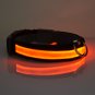 led collar for cat and dog