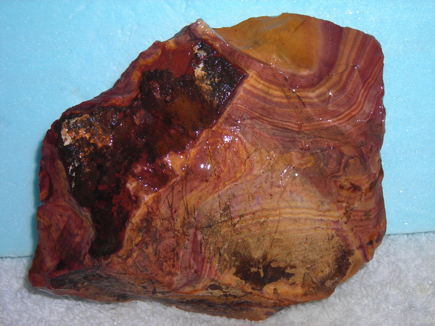 HICKORYTE--BANDED VOLCANIC RHYOLITE--FROM MEXICO