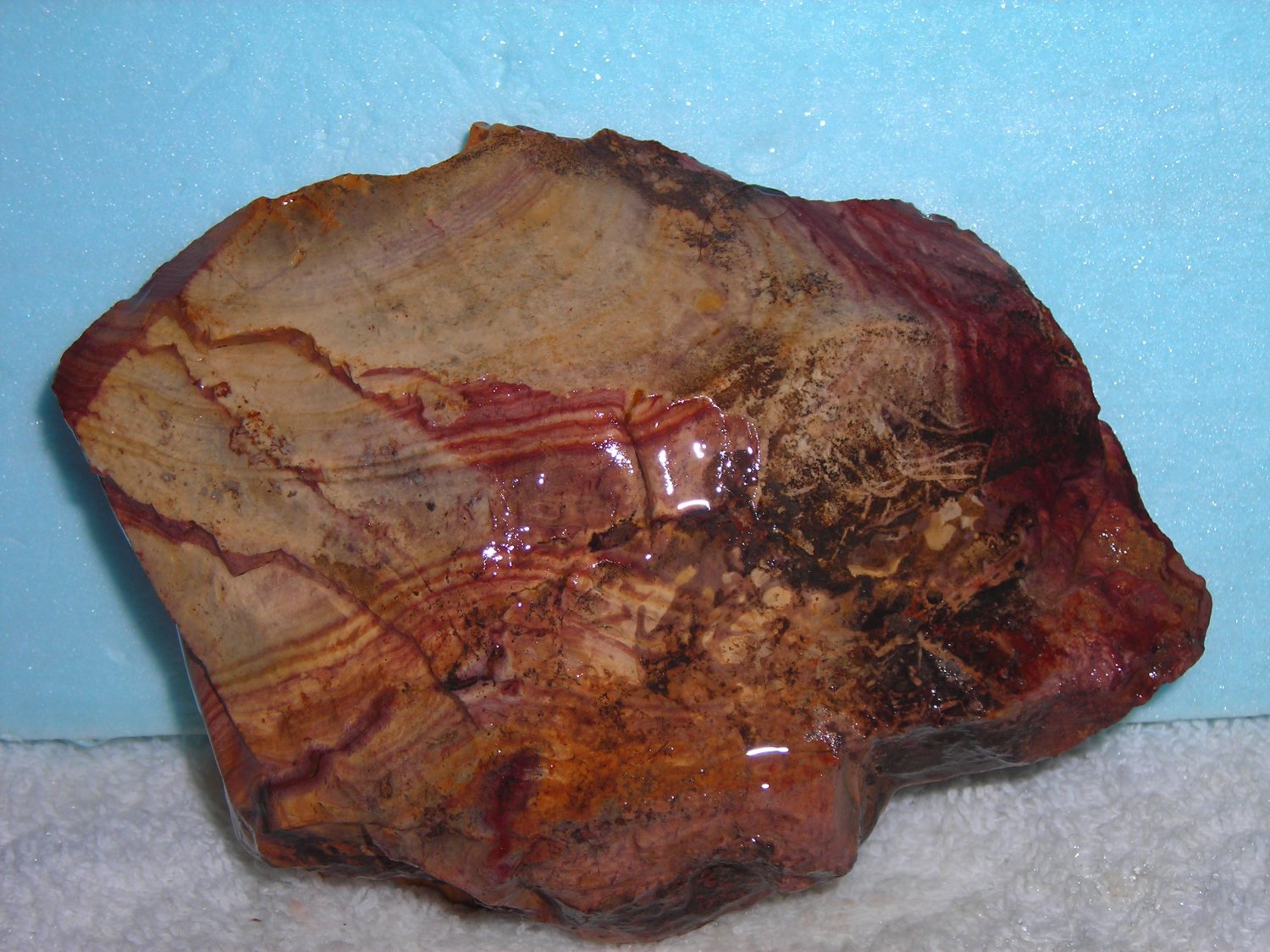 HICKORYTE--BANDED VOLCANIC RHYOLITE--FROM MEXICO