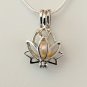 Lotus Flower