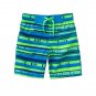 NWT CRAZY 8 Boys Dinosaur Rash Guard Shirt Geo Stripe Swim Trunks 18-24 M
