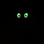 NWT Gymboree Fall Fest Friendly Little Ghost Glow in the Dark Halloween Shirt