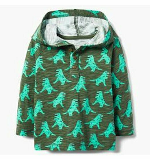 NWT Gymboree Hello Fall Dinosaur Boys Green Hoodie Hooded Sweatshirt Sweater