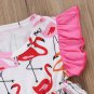 NWT Flamingo Girls Pink Short Sleeve Tunic Shirt Ruffle Shorts Outfit Set