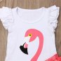 NWT Flamingo Girls Pink Ruffle Sleeve White Shirt Pink Tutu Skirt Outfit Set