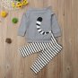 NWT Racoon Boys Gray Long Sleeve Shirt & Pants Outfit Set 18 M 2T 3T 4T