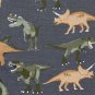 NWT The Childrens Place Dinosaur Savage Boys Short Sleeve Pajamas Set