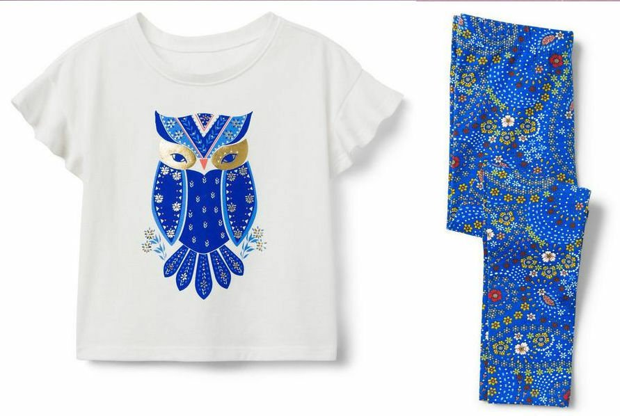 NWT Crazy 8 Owl Shirt Blue Floral Leggings Outfit Set 3T 4T 5T