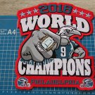 2018 PHILADELPHIA EAGLES WORLD CHAMPION PATCH SUPERBOWL NFL HUGE RED EMBROIDERED
