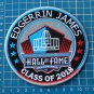 EDGERRIN JAMES SUPERBOWL PRO FOOTBALL HALL OF FAME 2018 HOF NFL PATCH EMBROIDER