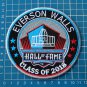 EVERSON WALLS PRO FOOTBALL 2018 HALL OF FAME SUPERBOWL NFL PATCH EMBROIDERED