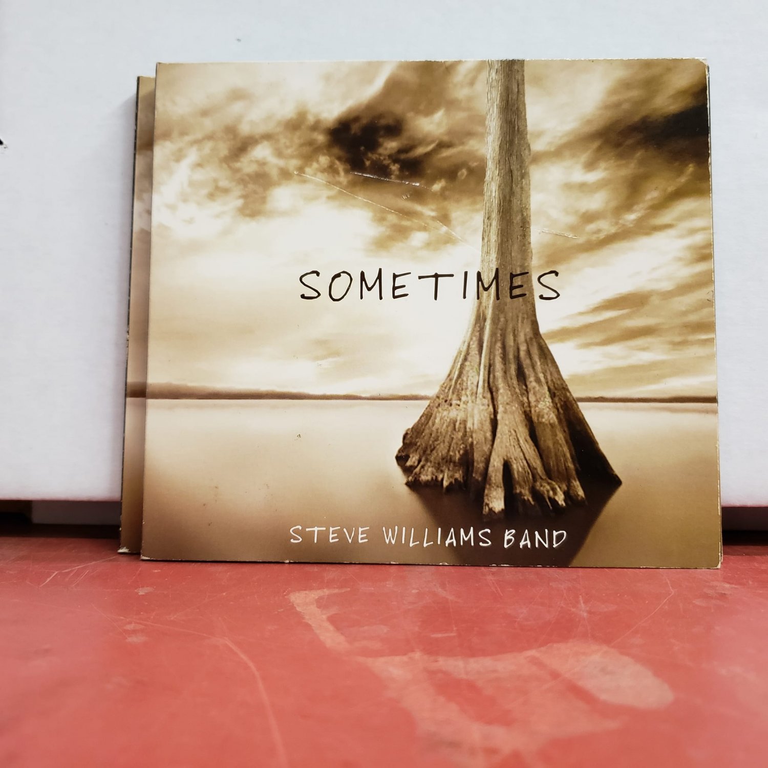 Steve Williams Band - Sometimes CD VG