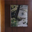 Spring scene Waterfall with wood frame Painting