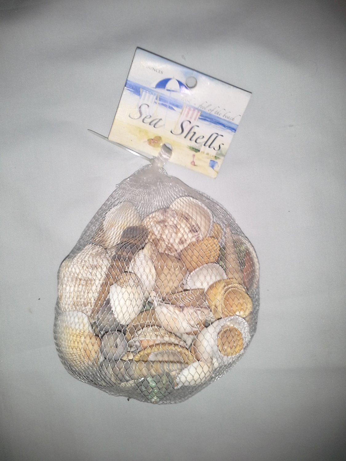 Sea Shells Decor