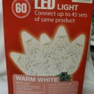 60 LED Holiday Light