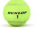 Dunlop ATP Championship Extra Duty Tennis Balls (12-Can pk.)