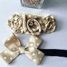 Polka Dot Champagne Headbands