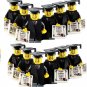 12pcs Classic Graduation Minifigures