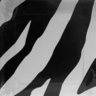 Animal Print Party Plates