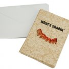 What's Shakin' Bacon Blank Note Cards & Envelopes Set