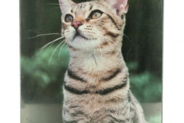 My Cat Glass Photo Frame