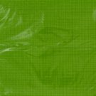 Texture Citrus Green Napkins Set
