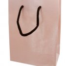 12.5x9.5 gift bag pink