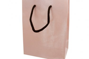 12.5x9.5 gift bag pink