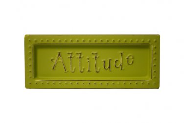 Attitude Mini Metal Sign Magnet