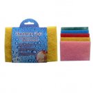 10 pack scouring pads