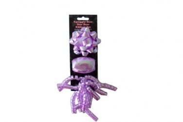 Purple Bow and Ribbon Set
