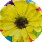8pk 8.75" daisy plates