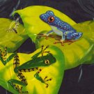 18ct fun frogs napkins