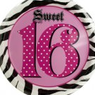 Sweet 16 Birthday Plates