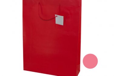 Large Pink &amp; Red Gift Bag