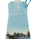 Dog Sled Reusable Water Bottle