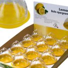 Lemon Saver Countertop Display