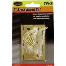 Brass Hinge Set with Screws