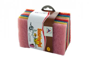 Scouring Pads Set
