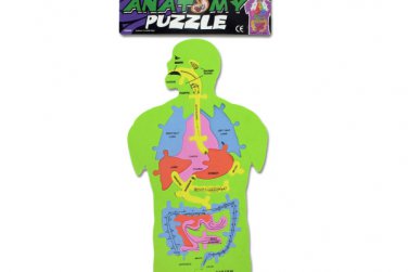 Foam Anatomy Puzzle
