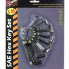 SAE Hex Key Set