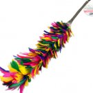 Feather duster