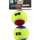 Dog Tennis Ball Set